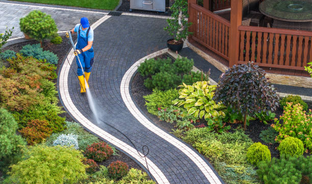 Best Affordable Power Washing  in Piru, CA